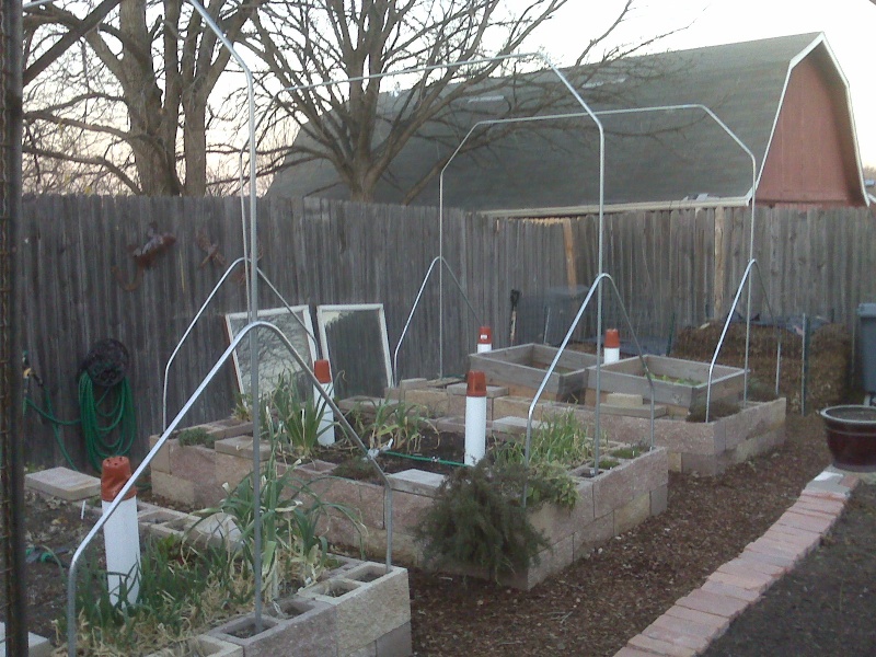 hoop house experiment - Hoop House Issue...How to Solve Please! - Page 2 Hoops11