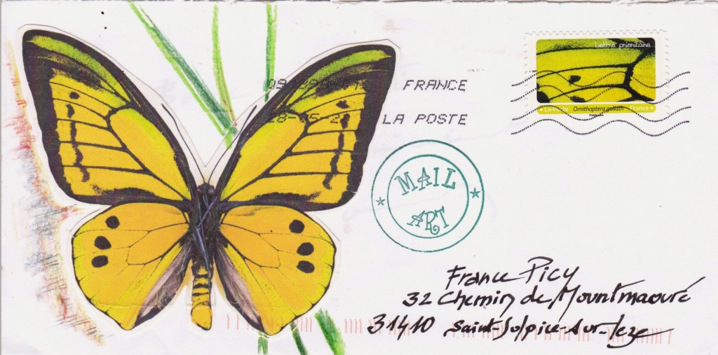 papillons Img119