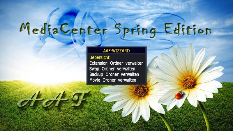 AAF MediaCenter Spring Edition  Aafwiz10