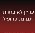 החמקן