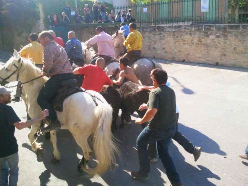 montpezat le 16/04/11 apres midi 01010