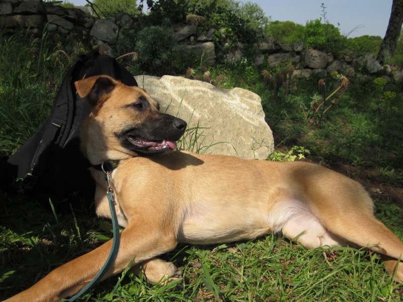 PAMPA (Fiona) - Page 2 Img_2110