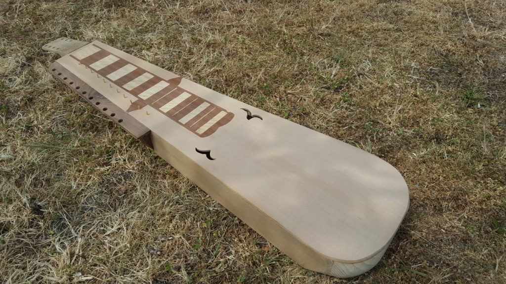 Construction d'une guitare slide baryton avec cordes sympath Whatsa29