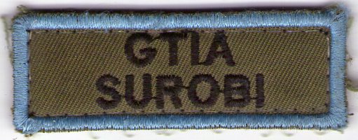 French Patches from SGTIAs - GTIAs/BATTLEGROUPS in Afghanistan Img10810