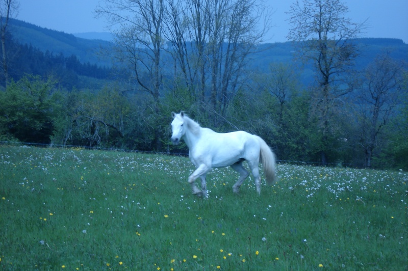 Bonjour à tous ! Dsc02311