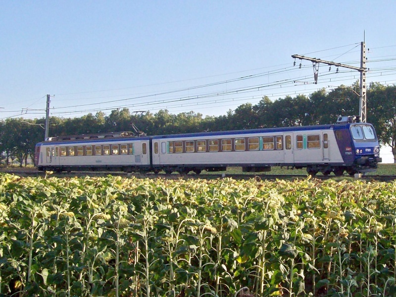 Photos et vidéos de la ligne Bordeaux - Toulouse - Narbonne - Sète (2007-2013) - Page 5 Photo204
