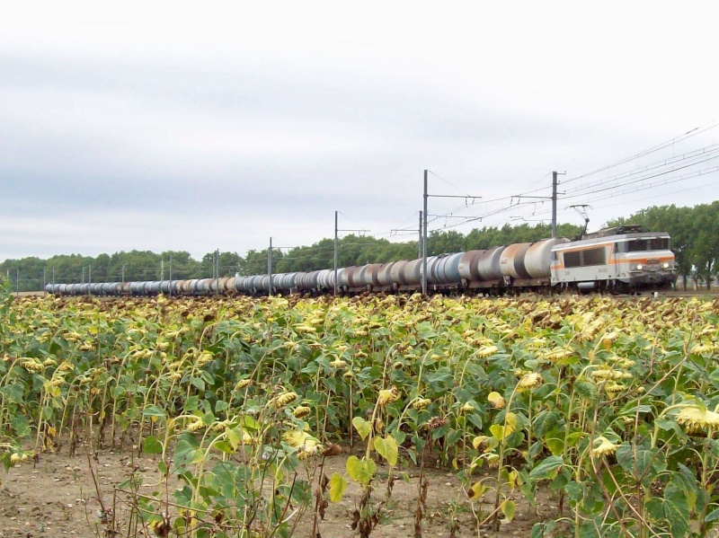 Photos et vidéos de la ligne Bordeaux - Toulouse - Narbonne - Sète (2007-2013) - Page 2 Photos85