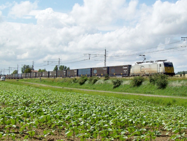 Photos et vidéos de la ligne Bordeaux - Toulouse - Narbonne - Sète (2007-2013) - Page 4 Trains17