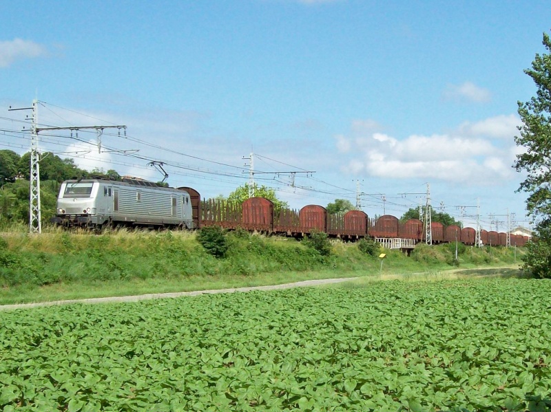 Photos et vidéos de la ligne Bordeaux - Toulouse - Narbonne - Sète (2007-2013) - Page 4 Trains23