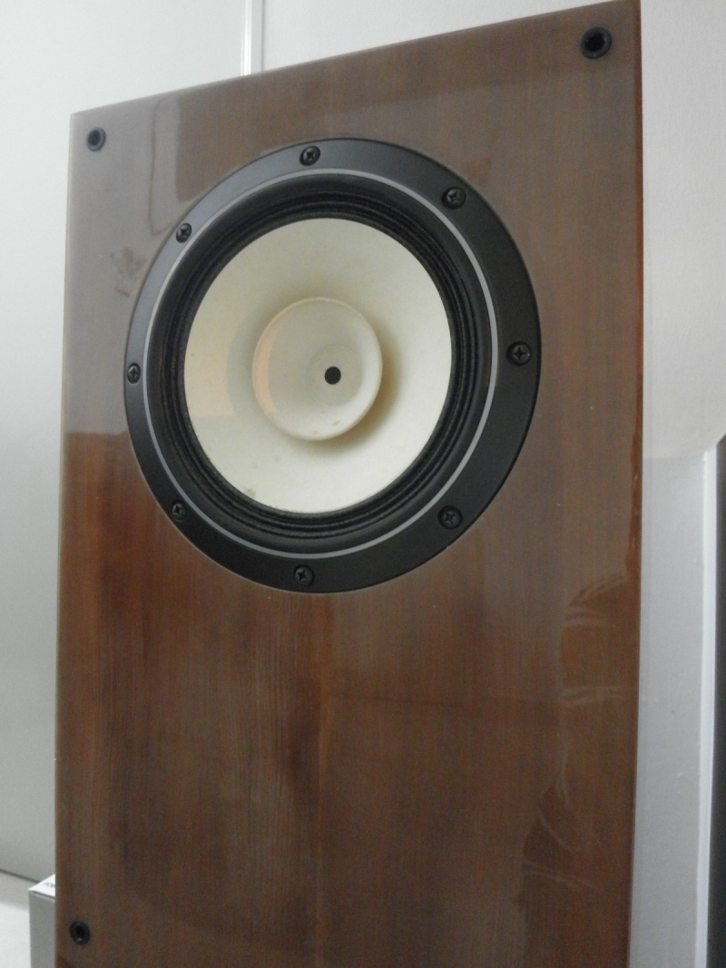 Fostex FE206ES-R Full Range Speakers P6091511