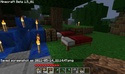 Première photo du serveur BioPi sur Minecraft 2011-023