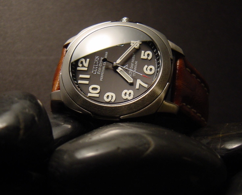 seiko casio citizen orient