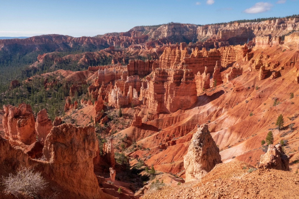 De Bryce Canyon à Bonneville _dsc4510