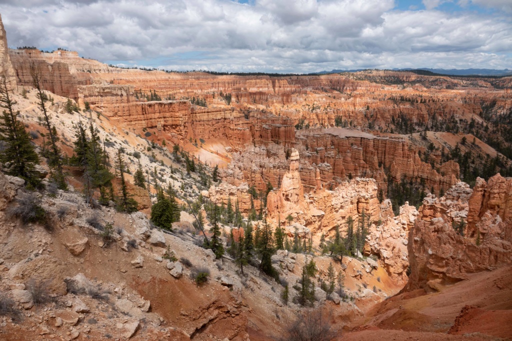 De Bryce Canyon à Bonneville _dsc4610
