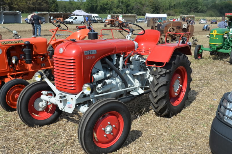 91 - Marcoussis 2019 fête du Blé le 31/08 et 01/09 Dsc_6231