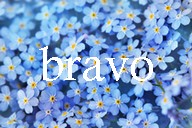Jeux de printemps de Rénato Parolin  Bravoe11