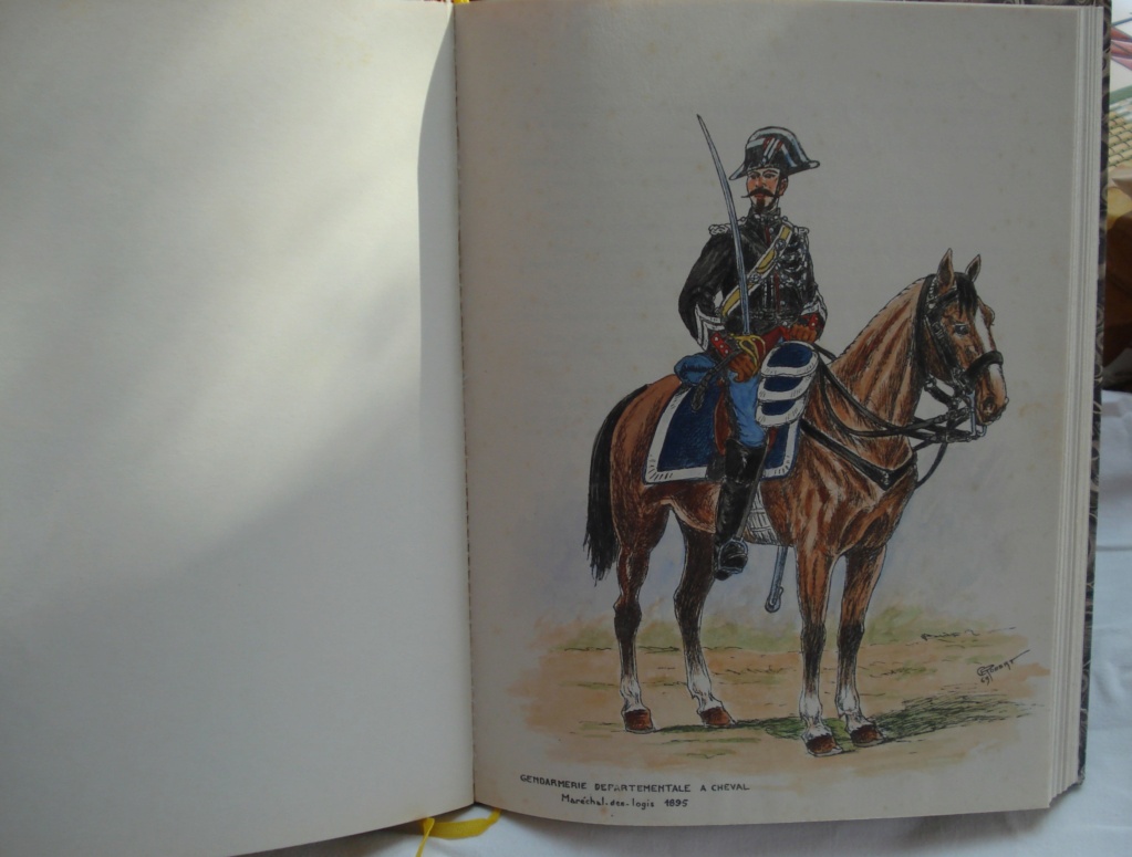 GALLOT et ROBERT " Gendarmerie de 1872 à 1914 " ( Vendu ) . Dsc01953
