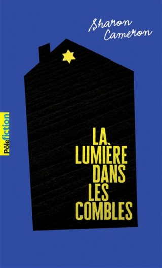 La lumière dans les combles de Sharon Cameron Lumier10