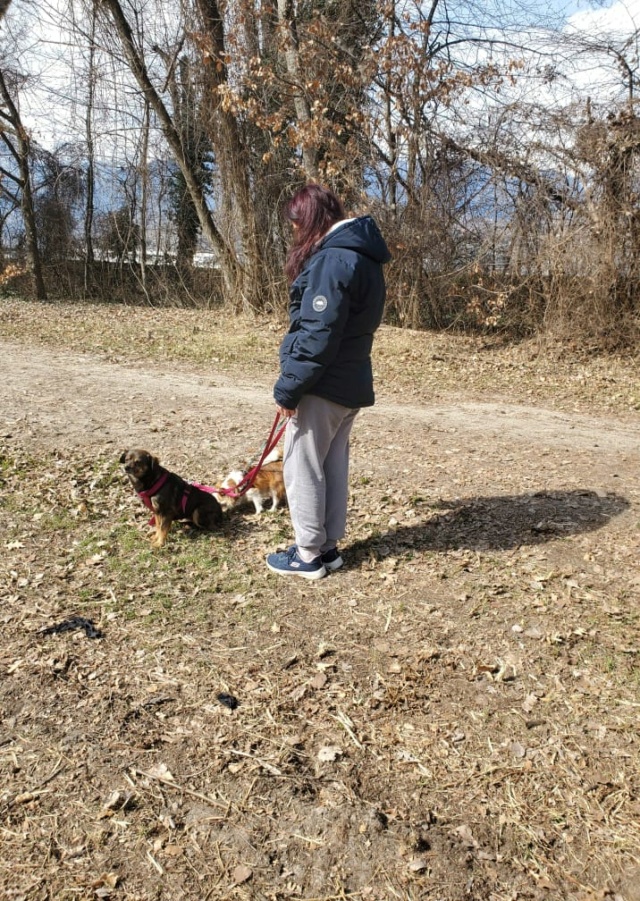 COROLLE - femelle, de petite taille - née environ en novembre 2019 - REMEMBER ME LAND - Adoptée par Sonia (Suisse)  15885610