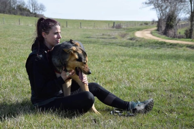 EROS (ex ARTABAN) - mâle, de taille moyenne, né environ en juin 2017 - REMEMBER ME LAND - Adopté par Amandine (63) 21470510