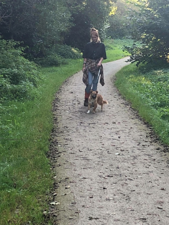 SPIKE (ex THEMIS) - chiot mâle borgne, de petite taille à moyenne à l'âge adulte - né environ en octobre 2020 - REMEMBER ME LAND - Adopté par Katia (Belgique)  24221310