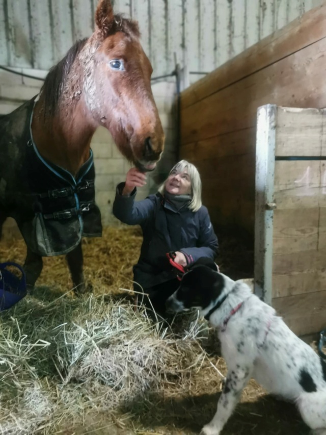 LOUNA (ex CORA) - chiot femelle, de taille moyenne à grande à l'âge adulte - née environ en mai 2022 - (Centre RM Pascani en Roumanie) - Adoptée par Sylvie (91)  32411511