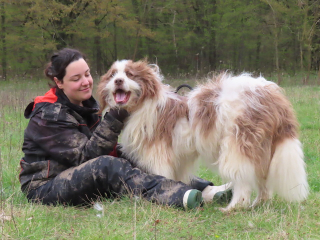 CESAR (ex SEAMUS) - mâle, de taille moyenne, née environ en mars 2019 - REMEMBER ME LAND - en FA chez CLÉMENTINE (54)/ Adopté par Sandrine (départ68) - Page 2 33955310