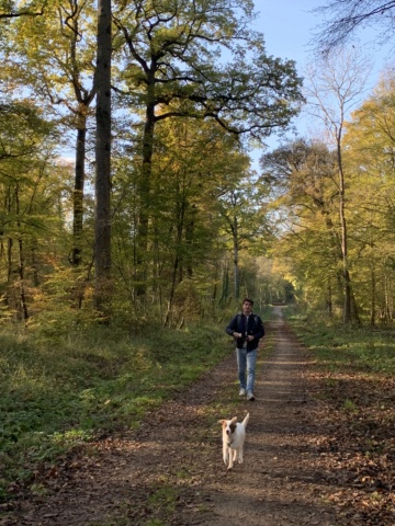 TARA (ex MINDAY) - chiot femelle typée border, de taille moyenne à l'âge adulte - née environ en juin 2022 - en FA à Tergu Neamt (Roumanie) - Adoptée par Zoé (75)  Img_4827