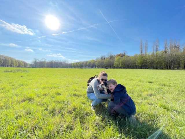 LEKA - chiot femelle, de petite taille à moyenne à l'âge adulte - née environ en novembre 2021 - REMEMBER ME LAND - En FA chez Stéphanie (33) - Adoptée par Sébastien (77)  - Page 2 Img_5819