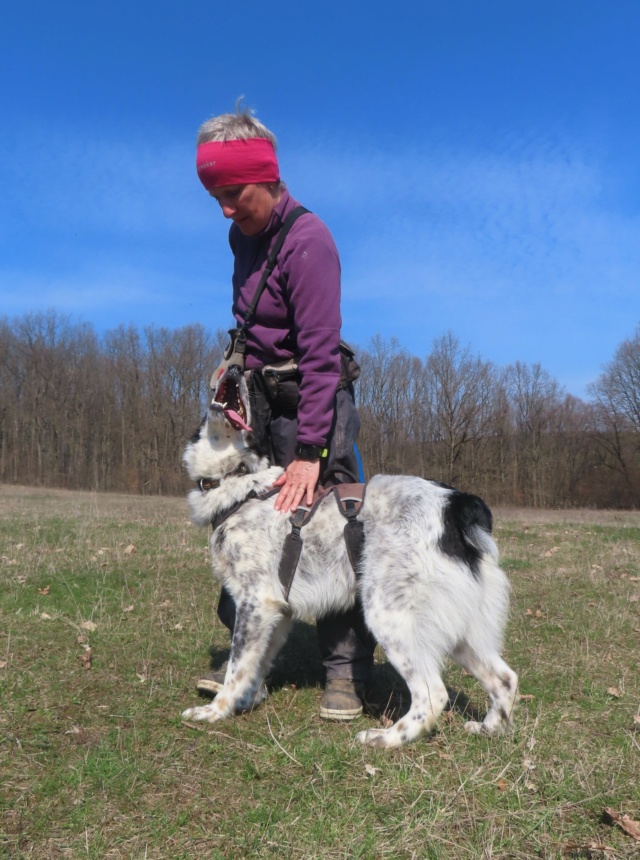 TANGO (ex LABUTA) - mâle, de taille moyenne à grande - né environ en février 2022 - REMEMBER ME LAND - Adopté par Cindy et Gianni (49) - Page 2 Labuta37