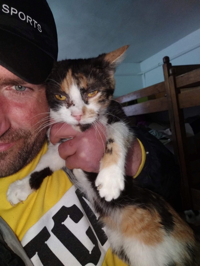 LAZULI - chaton femelle, née environ en août 2020 - En FA chez Sixtine et Romain (42) - adoptée par Marie-Elisabeth (03) Lazuli13