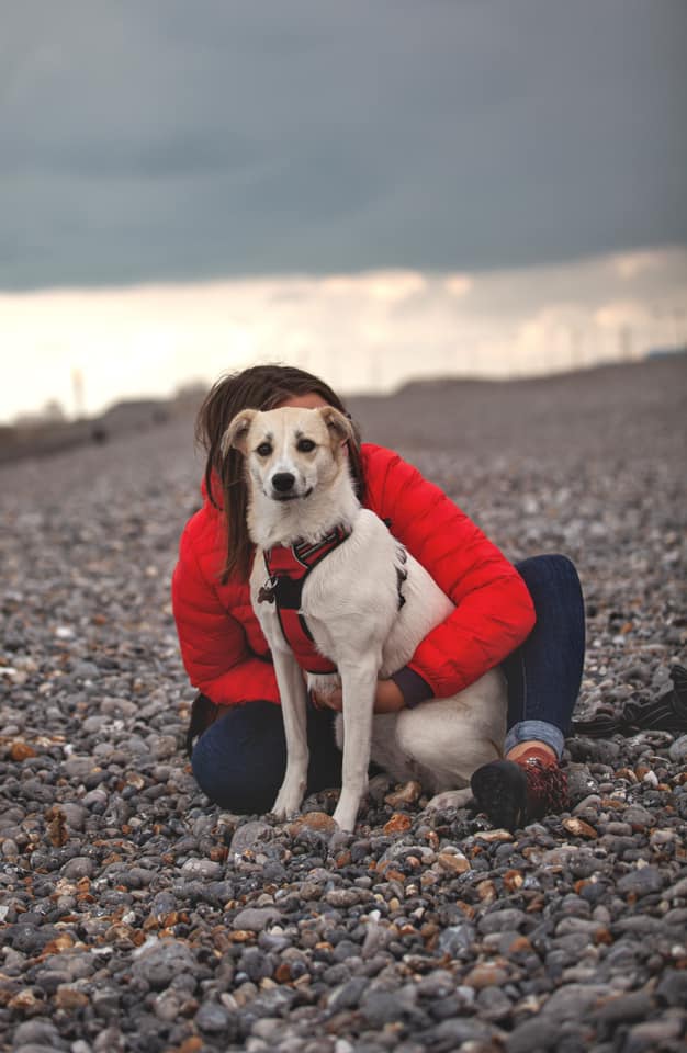 POMME (ex TATIANA) - chiot femelle, taille moyenne à l'âge adulte - Née environ en août 2019 - REMEMBER ME LAND - Adoptée par Axelle (76)  Pomme310