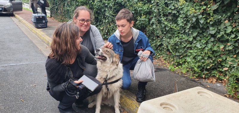 TACHA - femelle, de taille moyenne, née environ en mars 2018 - REMEMBER ME LAND - Adoptée par Sandrine (29)  Tacha_10