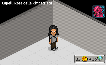 settembre2022 - Capelli Rosa della Rimpatriata rari in catalogo su Habbo Sche3586