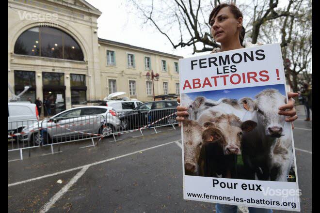 (Jugement) Procès de l’abattoir d’Alès : une avancée dans la cause animale ? Les-mi10