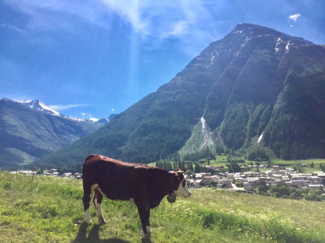 Encore du Bleu à la Marche Nordique des Alpes (06/07/2019) Bessan10