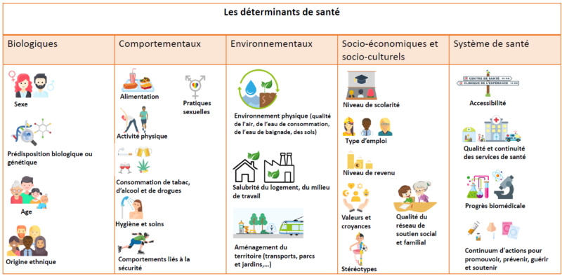 santé - Mooc : Promotion de la Santé au sein des Clubs Sportifs Determ10