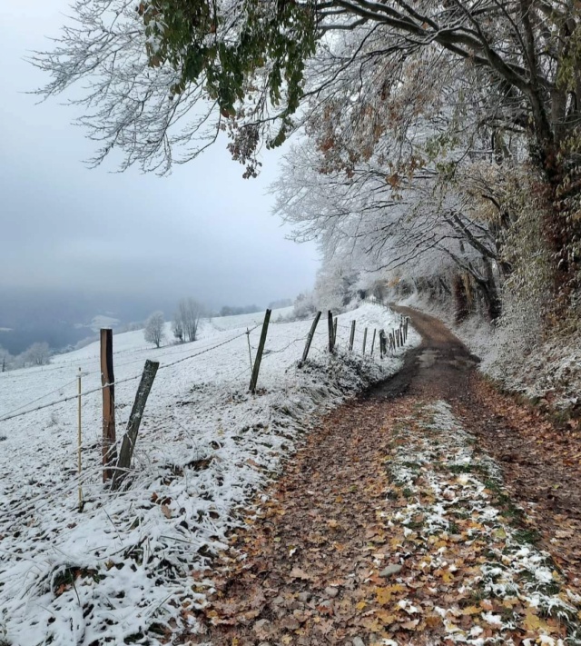 2022-2023 - Entre Vercors - Oisans -  Belledonne - (Mon carnet d'entrainement) Fb_img12