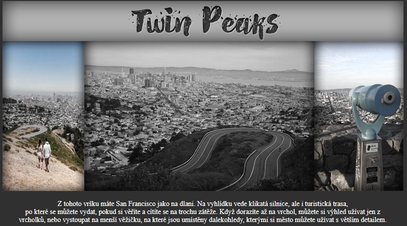 Twin Peaks Twin11