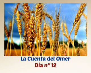 La Cuenta del Omer Dzya_113