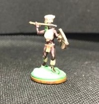 Congo : nos aventures en 20 mm (1/72) Champi10