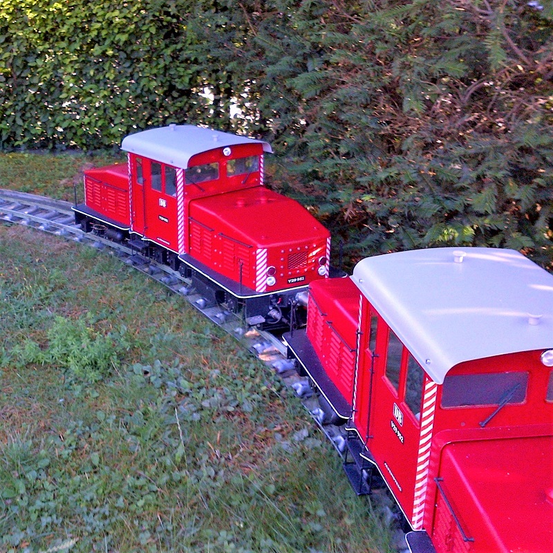 Gartenbahn in 5 Zoll 20130810