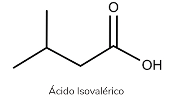 Titulação 20201010