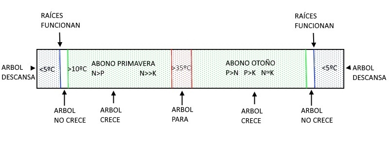 MI ABONADO 20190544