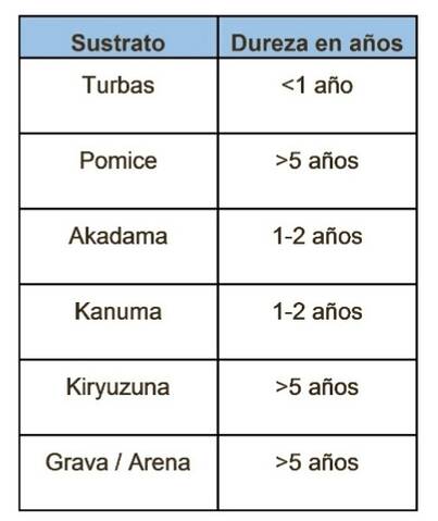 IDEAS BASICAS SOBRE LOS SUSTRATOS 20190532