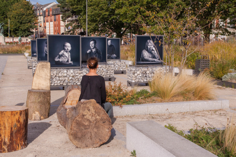 Election de la photo du concours de septembre 2019 * Résultats - Page 2 0811