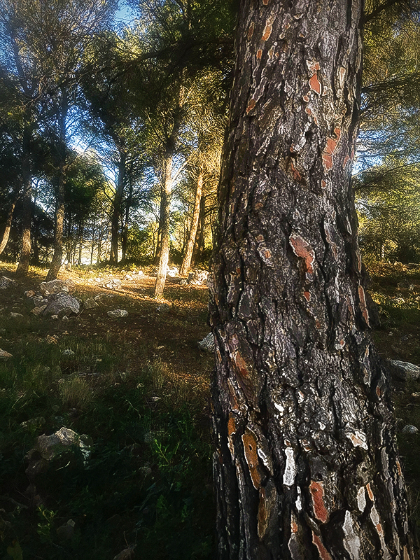 Election de la photo du concours de septembre 2023 + Résultats 520