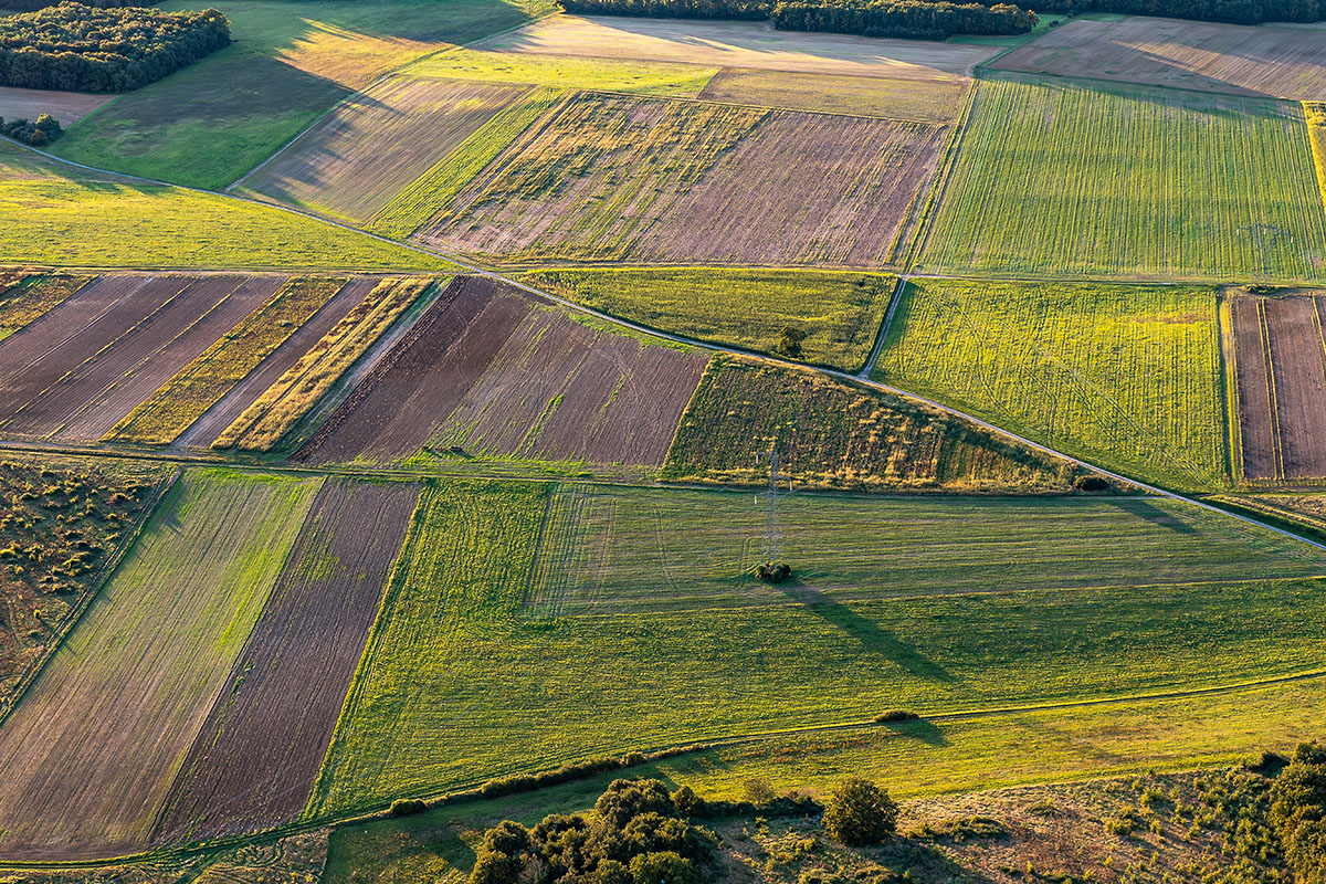 Patchwork nature _1050416