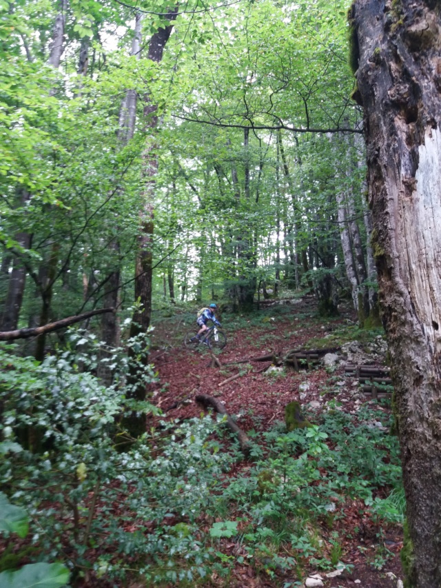 Jura, jour 2 20190621