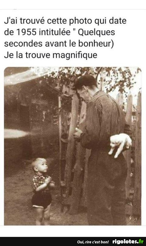humour - Page 21 20190723